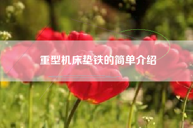 重型機床墊鐵的簡(jiǎn)單介紹