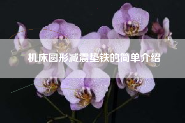 機床圓形減震墊鐵的簡(jiǎn)單介紹