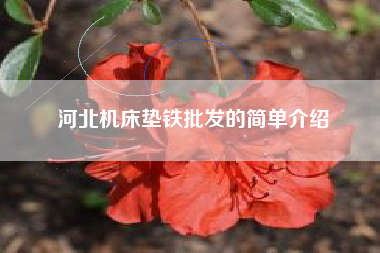 河北機床墊鐵批發(fā)的簡(jiǎn)單介紹