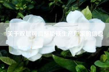 關(guān)于雙層可調整墊鐵生產(chǎn)廠(chǎng)家的信息