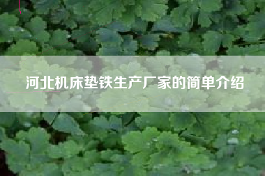 河北機床墊鐵生產(chǎn)廠(chǎng)家的簡(jiǎn)單介紹