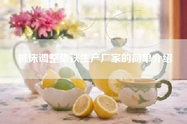 機床調整墊鐵生產(chǎn)廠(chǎng)家的簡(jiǎn)單介紹