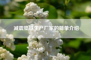 減震墊鐵生產(chǎn)廠(chǎng)家的簡(jiǎn)單介紹