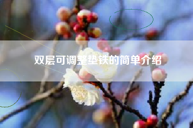 雙層可調整墊鐵的簡(jiǎn)單介紹