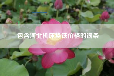 包含河北機床墊鐵價(jià)格的詞條