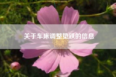 關(guān)于車(chē)床調整墊鐵的信息