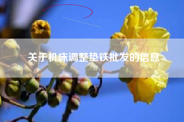 關(guān)于機床調整墊鐵批發(fā)的信息