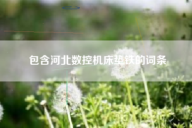 包含河北數控機床墊鐵的詞條