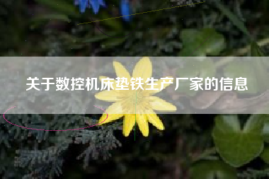 關(guān)于數控機床墊鐵生產(chǎn)廠(chǎng)家的信息