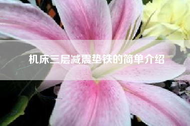 機床三層減震墊鐵的簡(jiǎn)單介紹