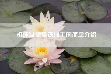 機床減震墊鐵加工的簡(jiǎn)單介紹