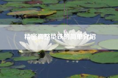 精密調整墊鐵的簡(jiǎn)單介紹