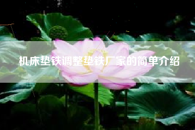 機床墊鐵調整墊鐵廠(chǎng)家的簡(jiǎn)單介紹