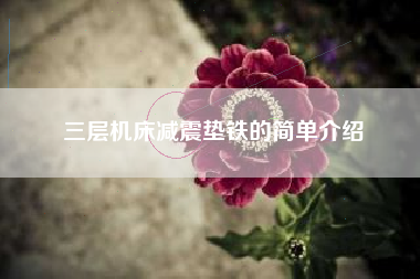 三層機床減震墊鐵的簡(jiǎn)單介紹