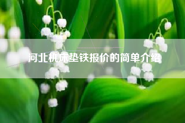 河北機床墊鐵報價(jià)的簡(jiǎn)單介紹