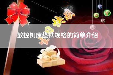數控機床墊鐵規格的簡(jiǎn)單介紹