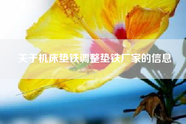 關(guān)于機床墊鐵調整墊鐵廠(chǎng)家的信息