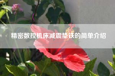 精密數控機床減震墊鐵的簡(jiǎn)單介紹