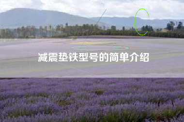 減震墊鐵型號的簡(jiǎn)單介紹
