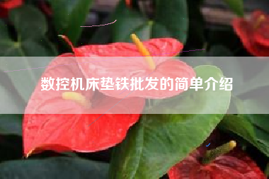 數控機床墊鐵批發(fā)的簡(jiǎn)單介紹