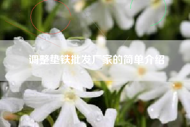 調整墊鐵批發(fā)廠(chǎng)家的簡(jiǎn)單介紹