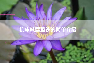 機床減震墊鐵的簡(jiǎn)單介紹