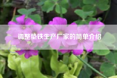 調整墊鐵生產(chǎn)廠(chǎng)家的簡(jiǎn)單介紹