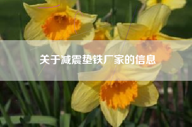 關(guān)于減震墊鐵廠(chǎng)家的信息
