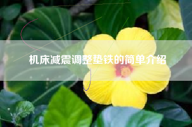機床減震調整墊鐵的簡(jiǎn)單介紹