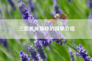 三層機床墊鐵的簡(jiǎn)單介紹