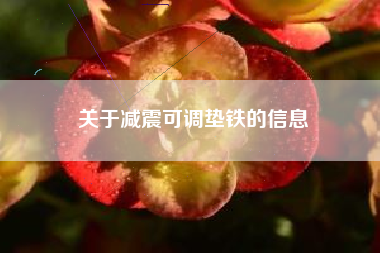 關(guān)于減震可調墊鐵的信息