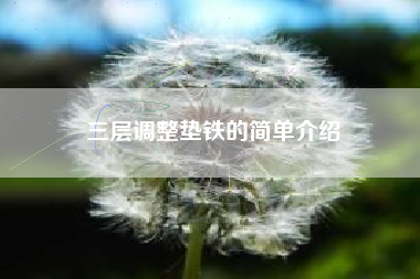 三層調整墊鐵的簡(jiǎn)單介紹